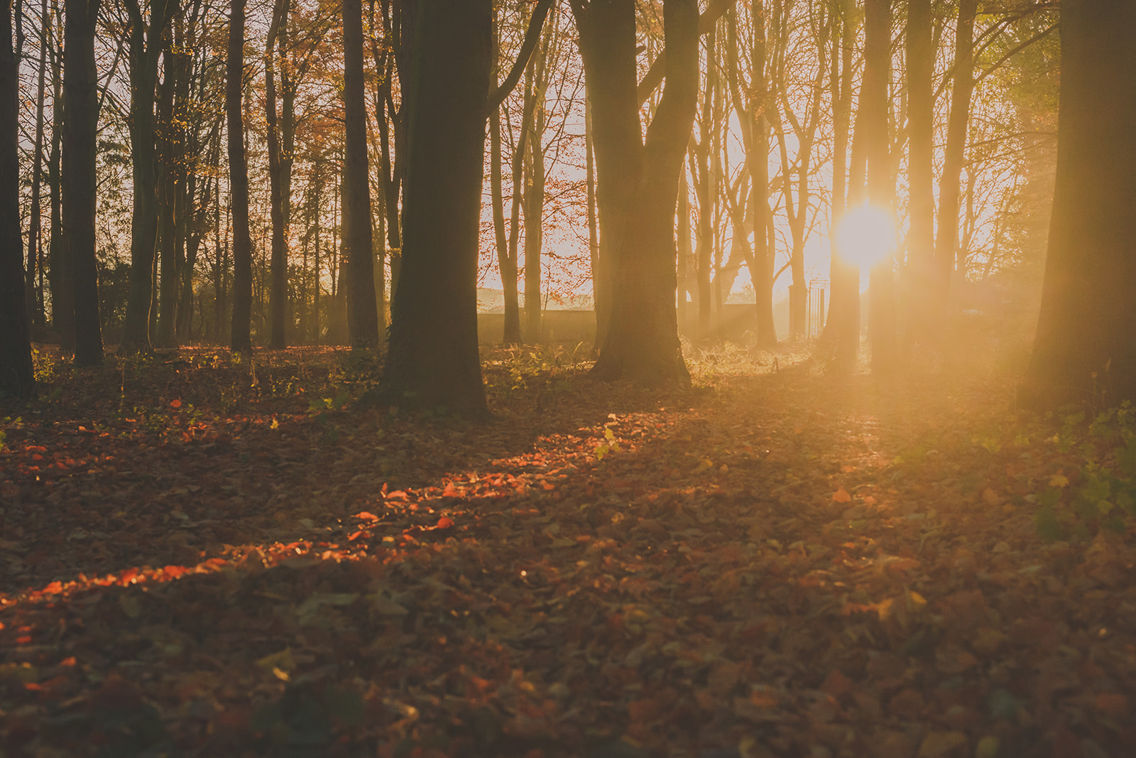 Large Group Accommodation in Norfolk this spring