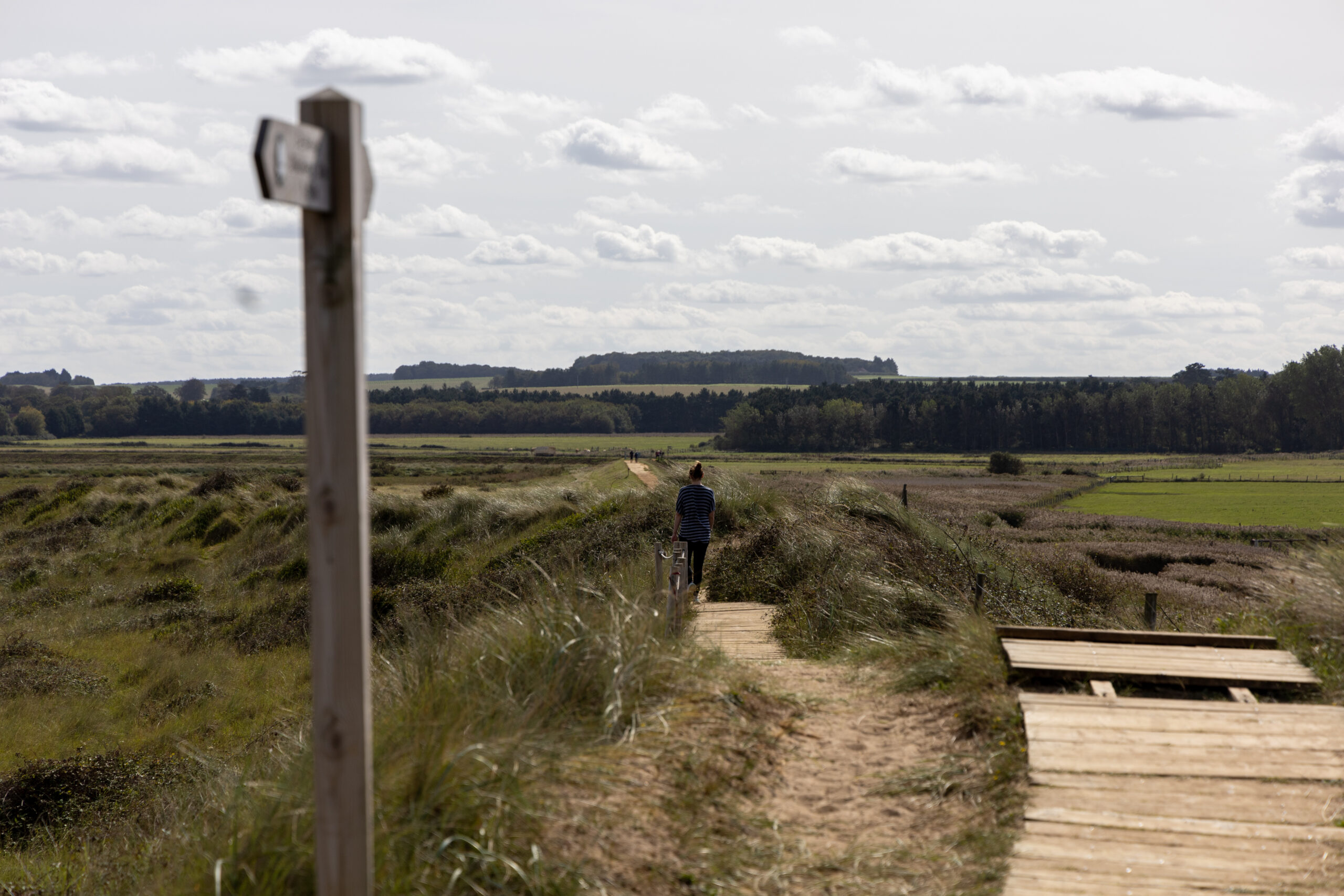 Norfolk Spring Breaks