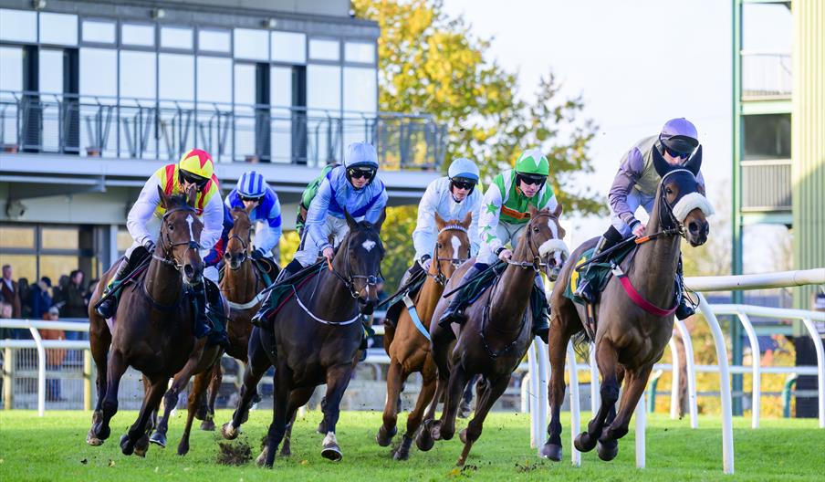Fakenham Races - Norfolk Summer Holidays